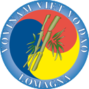 logo vovinam flat